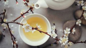 آنچه از چای سفید باید بدانید
